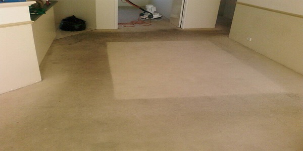 Before Chem Dry Carpet Cleaning