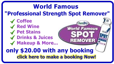 world famous professional strength spot remover